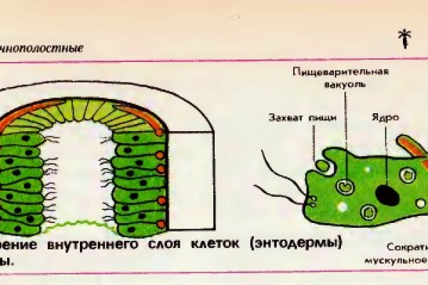 Кракен kraken6 onion