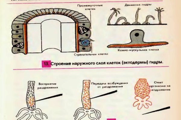 Сайты с наркотиками